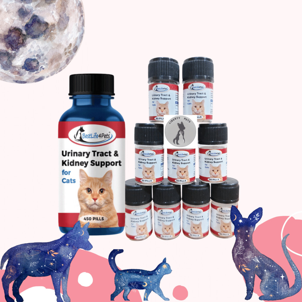 Best Life BestLife 4Pets Urinary Tract & Kidney Support for Cats (1 Tablet)