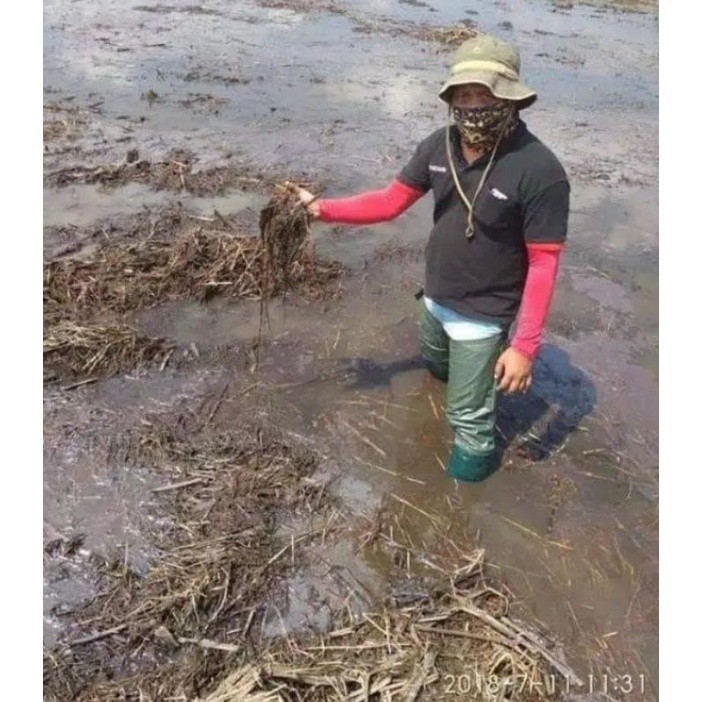 (bayar di tempat)SEPATU SAWAH SEPATU PETANI PANJANG BERKWALITAS BOOT SAWAH BOOTS PERTANIAN AP BOOTS 