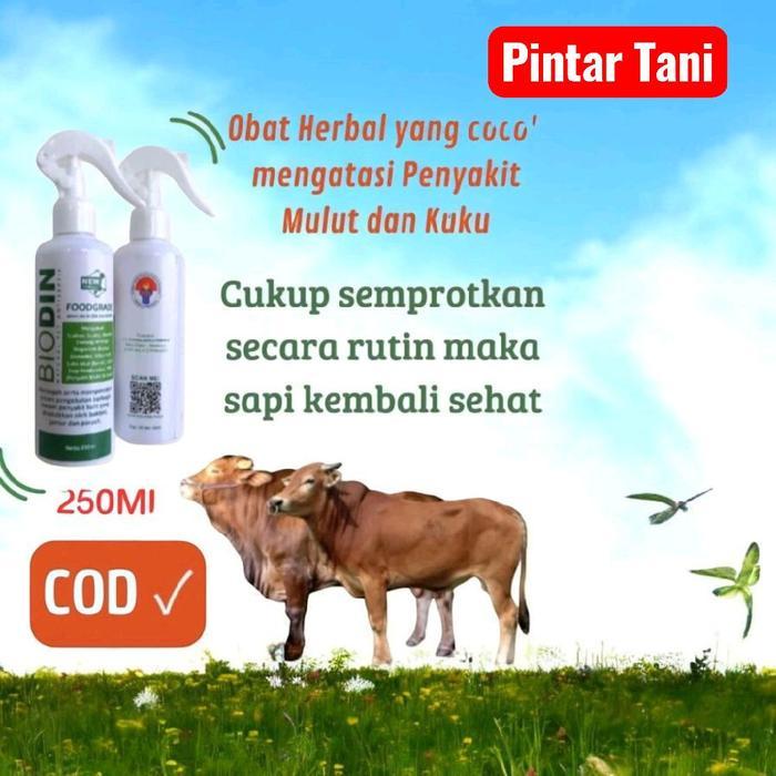 Biodin Spray 250ml Obat PMK Sapi Ampuh Antiseptik Untuk Penyakit Mulut, Kuku,pada Sapi Kambing Kerba