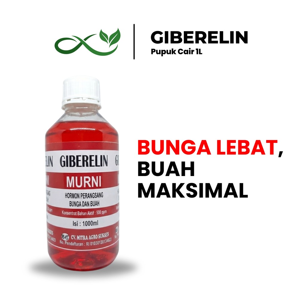 Giberelin Murni 1 Liter Cairan Hormon Pertumbuhan Bunga & Buah Tanaman 500 ppm