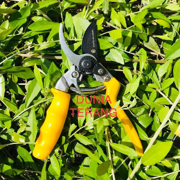 Hapdays Gunting Dahan HASSTON PROHEX 1350 - Gt Ranting HASTON Super 1350