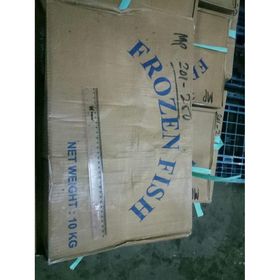 ikan layang cuek 200-250 beku per dus