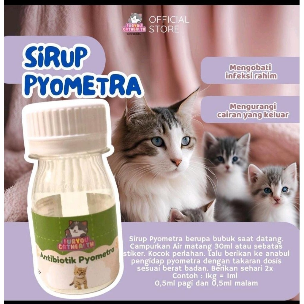 Harga pyometra Terbaru Mei 2026 | BigGo Indonesia