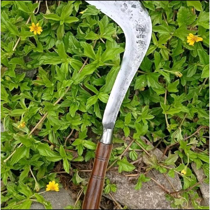 Parang Congkrang Sawah Tradisional Baja Asli - Sabit Pembersih Rumput & Ranting Multifungsi