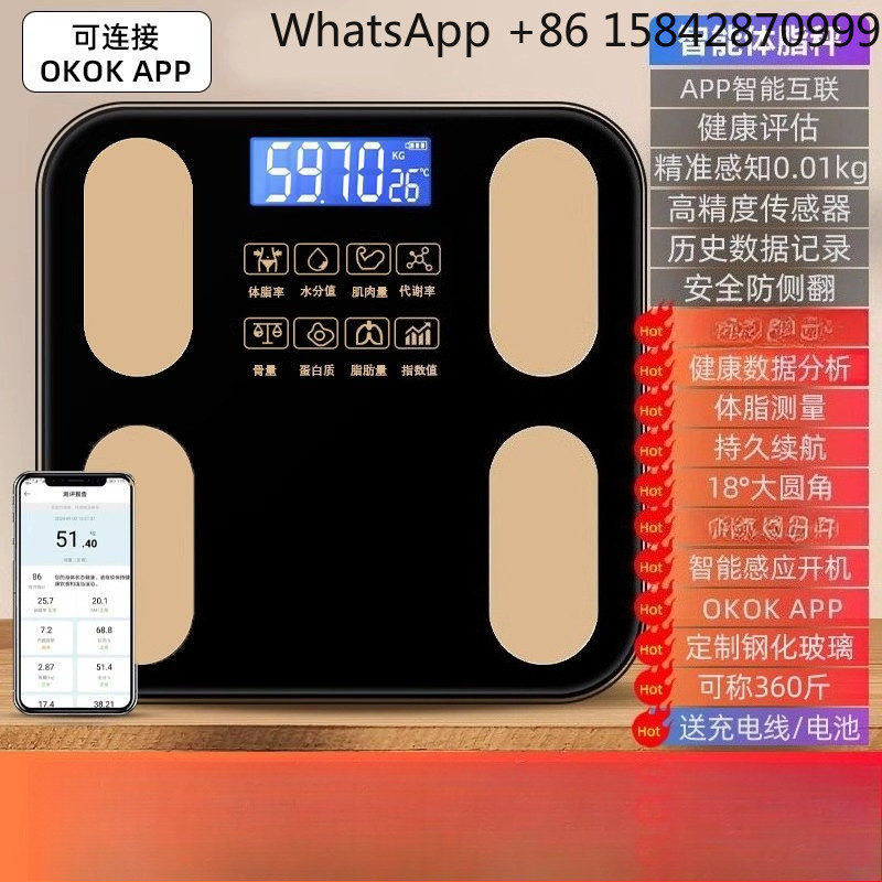 Household Charging Electronic Scale Scale