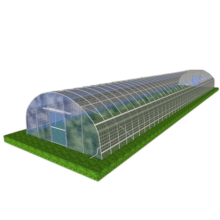 Greenhouse Tomato Tunnel Greenhouse Frame Sale Single Span Hydroponic Farming Equipment Greenhouse K