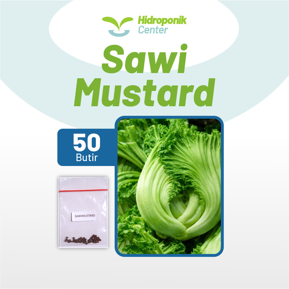 HIDROPONIK CENTER - Benih Sayur Sawi Mustard, Bibit Sayuran Sawi Mustard Unggul Bibit Sayuran Super