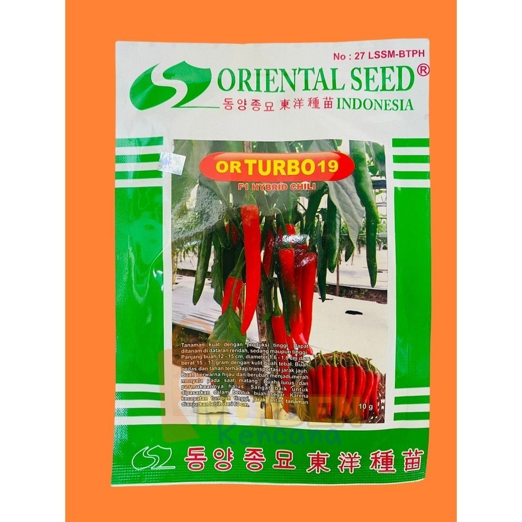 Benih Cabai Besar hibrida F1 OR TURBO 19 berat isi 10 gram dari ORIENTAL SEED
