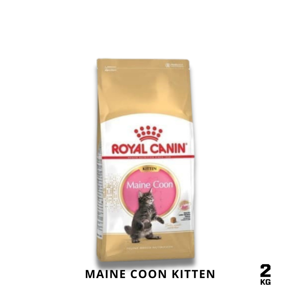 Royal Canin Maine Coon Kitten 2kg