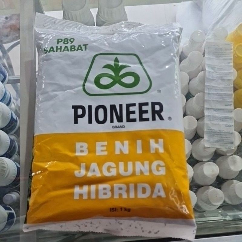 Benih jagung p89 pioner  SAHABAT 1kg