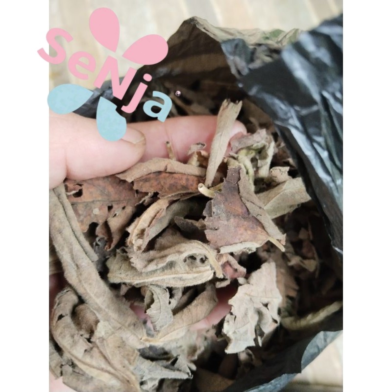 daun kersen kering/teh daun kersen 250gram