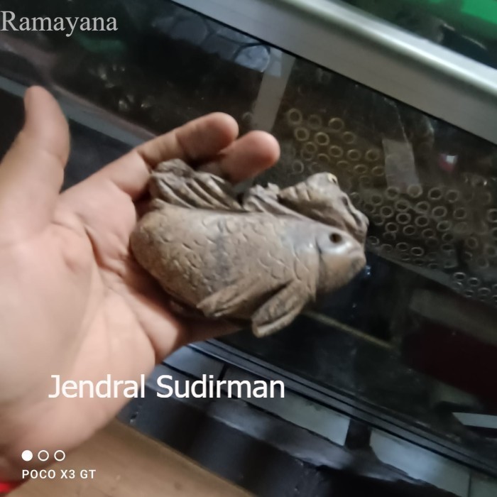 fosil ikan ori Murah Meriah JD61 Murah