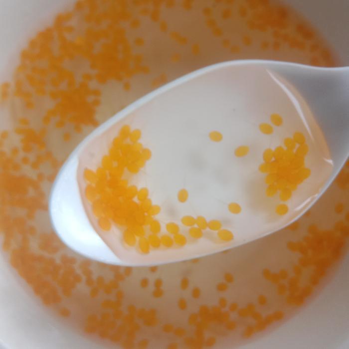 Paket 1000 butir Telur / Larva Gurame Padang Albino