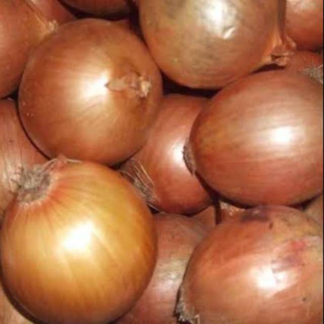 Bawang Bombay 250 gr sayur bandung