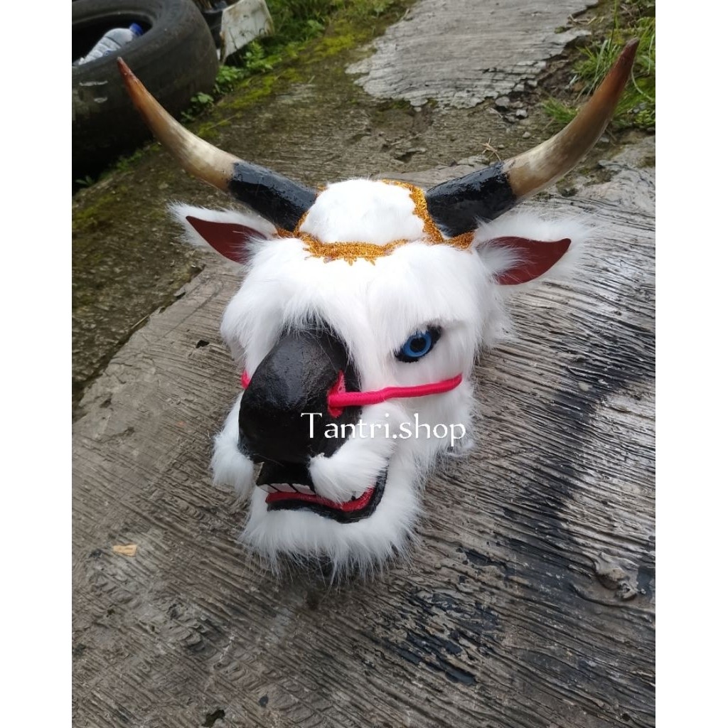 BANTENGAN BULU KOREA - BANTENGAN  - BANTENGAN MBEROT - BANTENG 1,5 Kil - BANTENGAN - BANTENGAN VIRAL