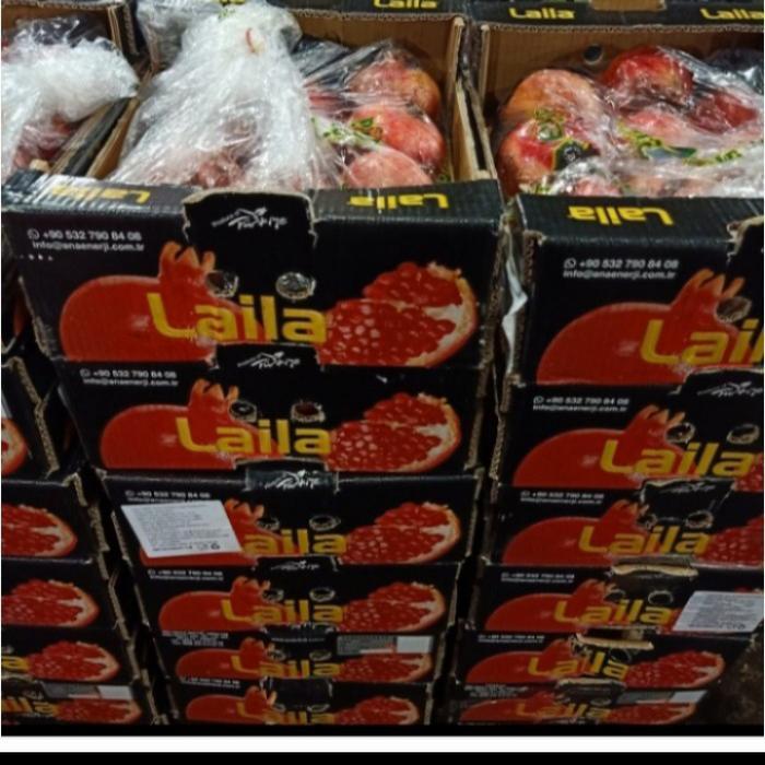 buah delima merah import Mesir EGYPT Harga pergardus buah-buahan segar - delima india