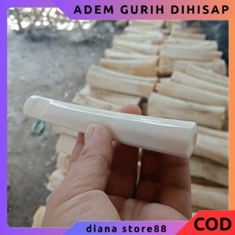 ONCE PIPA TULANG UNTA TEBEL ADEM PULEN