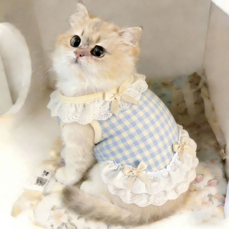 [Pet Wardrobe] Pakaian Kucing Anjing Anak Anjing Tipis Anak Anjing Anak Anjing Kucing Emas Lulus