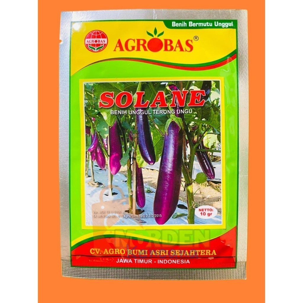 Benih Unggul Terong Ungu SOLANE 10gr MK