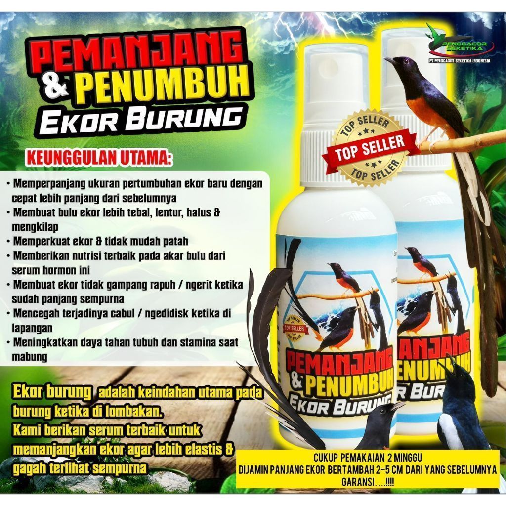 [TERMURAH] Vitamin Pemanjang Penumbuh Bulu Ekor Burung Semakin Panjang Elastis Semakin Gagah