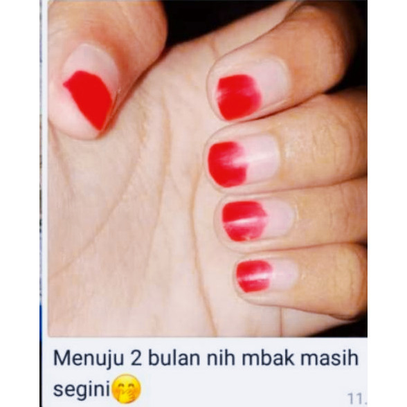 (READY STOCK) INAIKUKU HALAL MUSLIMAH KEMASAN BARU PEWARNA KUKU HALAL AWET INAI KUKU MAROON RED HITA