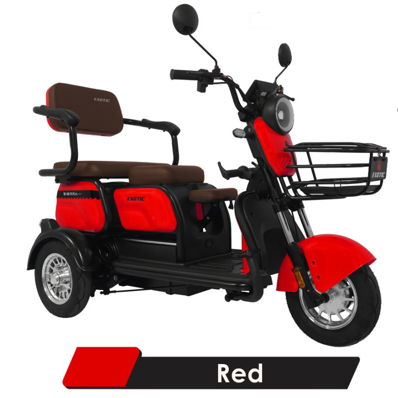 PROMO CUCI GUDANG Sepeda Listrik Roda 3 Exotic Sierra New Color dengan Power 650W Battery 48V 25Ah