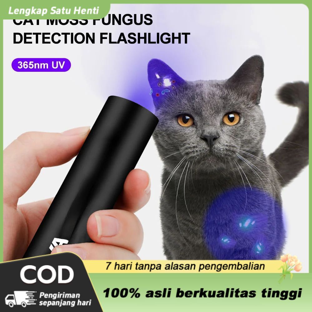 Ultraviolet/senter ultraviolet/ultraviolet/uv led mini usb