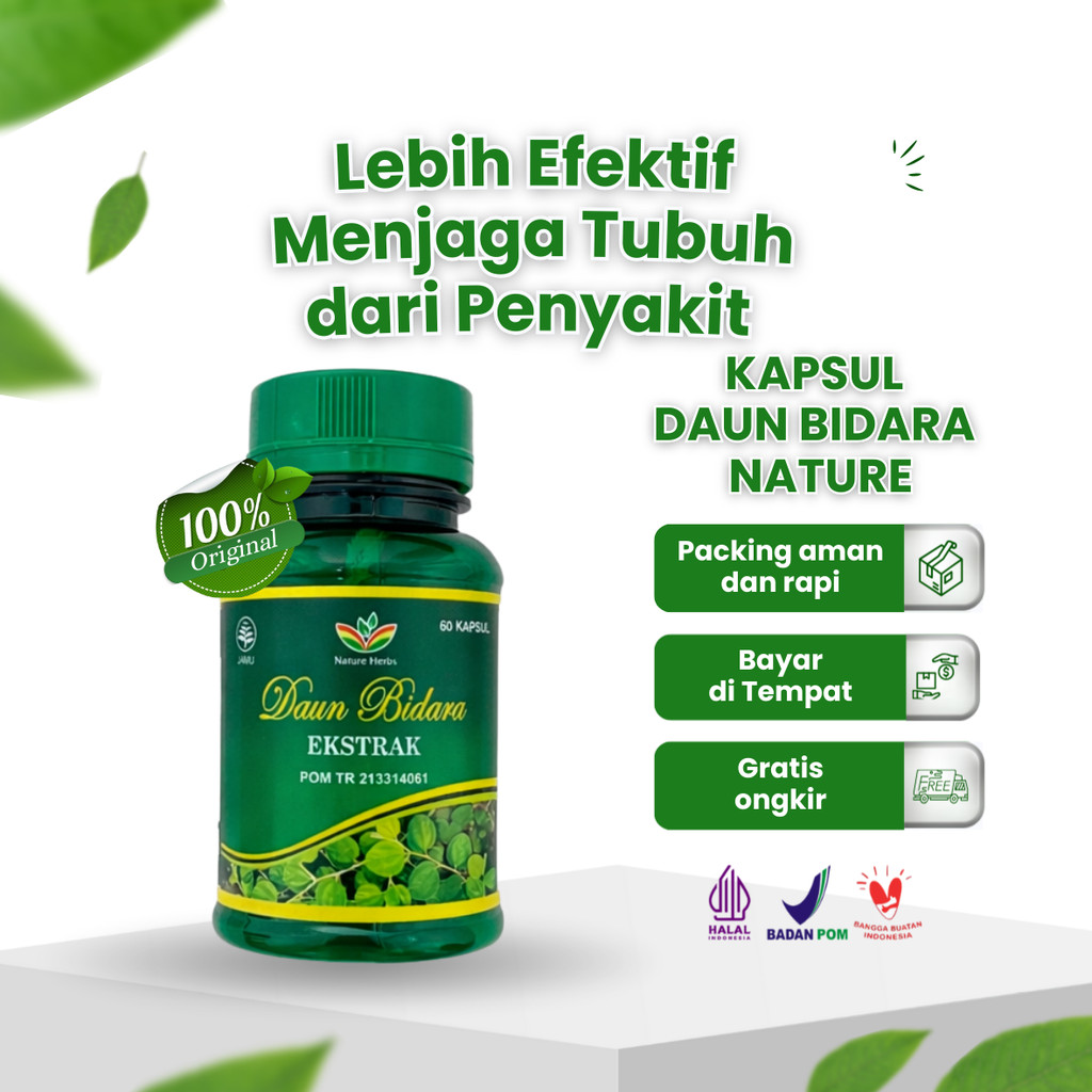 Kapsul Ekstrak Daun Bidara Nature Herbs 60 Kapsul - Suplemen Kesehatan Alami - Herbal Imunitas - Ori