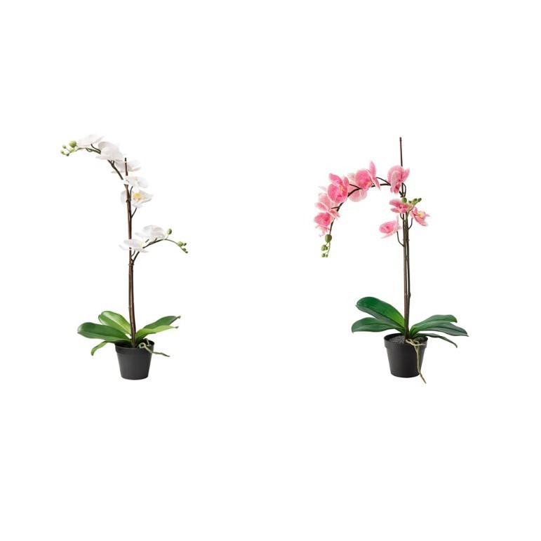 F3JK4 Tanaman tiruan dalam pot anggrek 12 cm