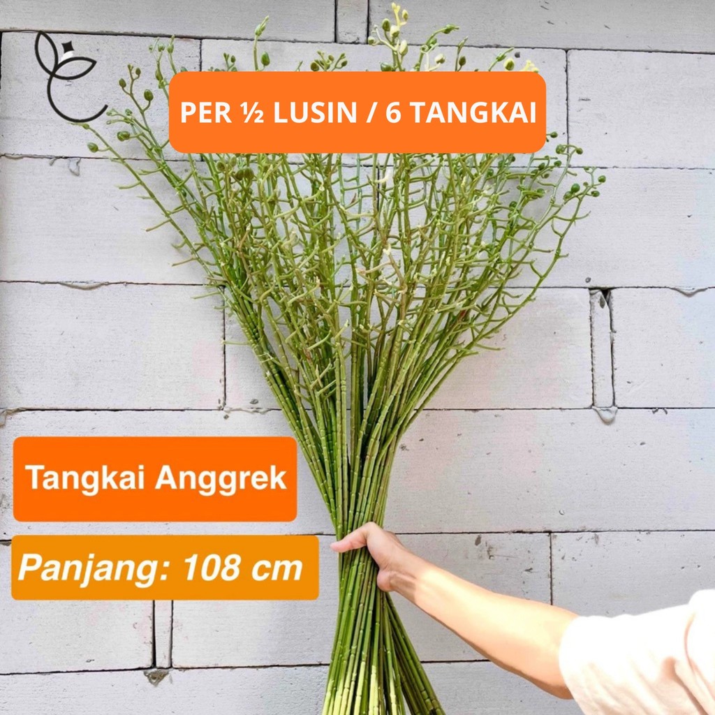 IDFLORIST TANGKAI ANGGREK DEKORASI TANGKAI BUNGA ANGGREK Artificial