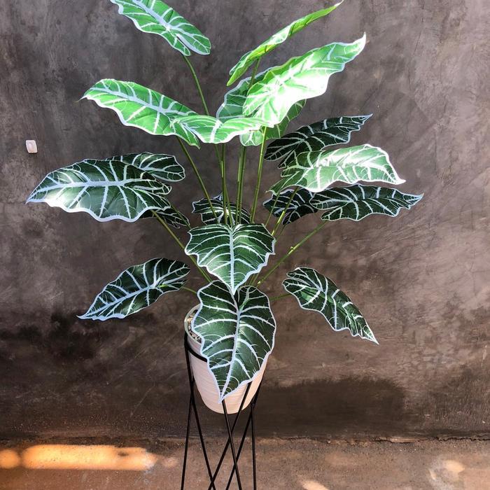 HOT PRODUK COD KELADI NEON ARTIFICIAL JUMBO Besi Latex Tanaman - Keladi neon, STANDING GOLD KOTAKter