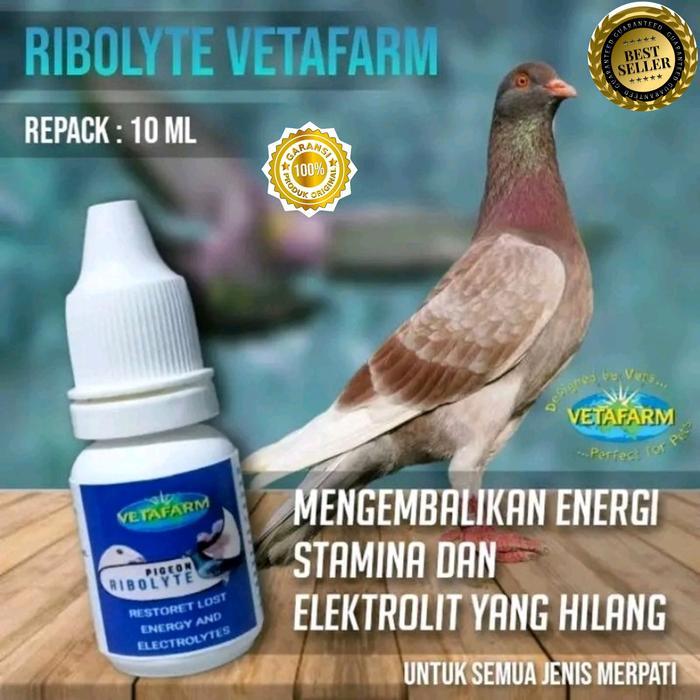 rebolyt vetafarm doping merpati lomba juara