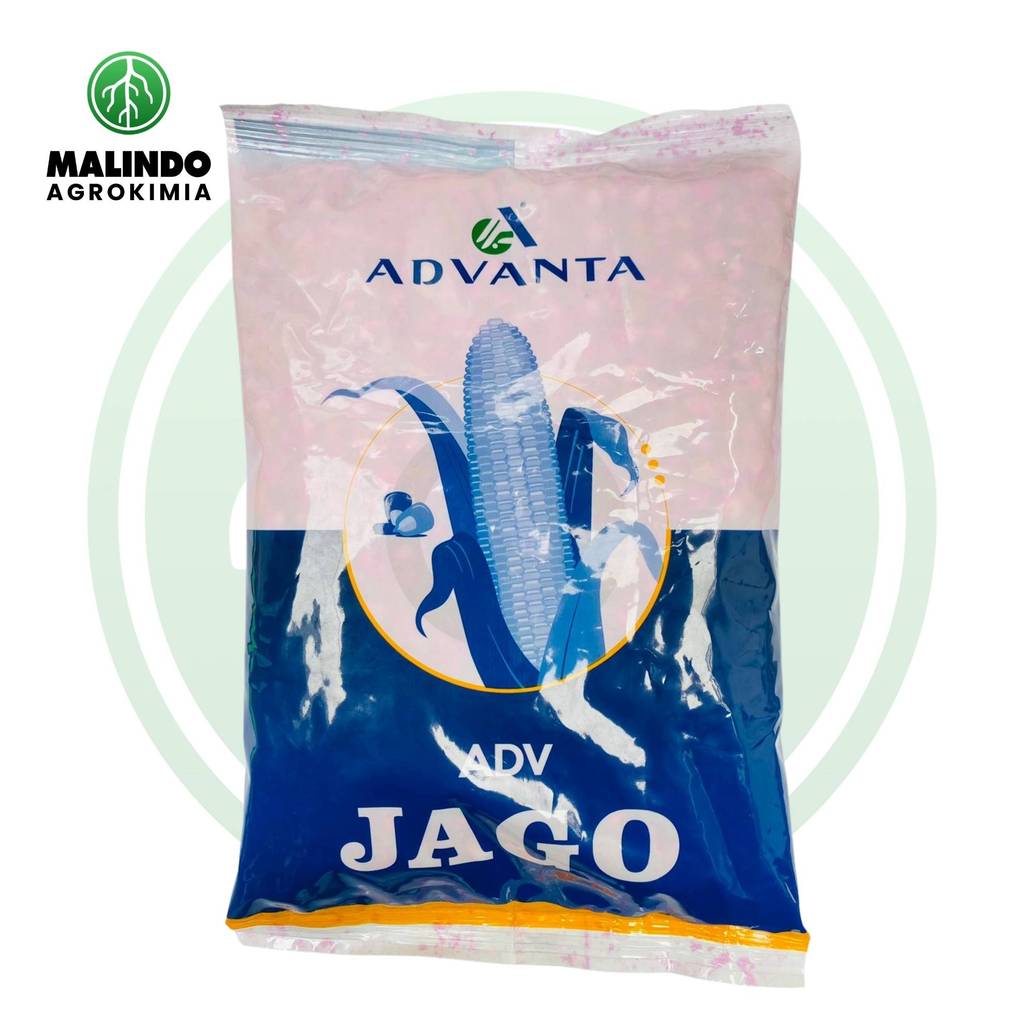 Benih Jagung Hibrida ADV JAGO 1kg dari ADVANTA