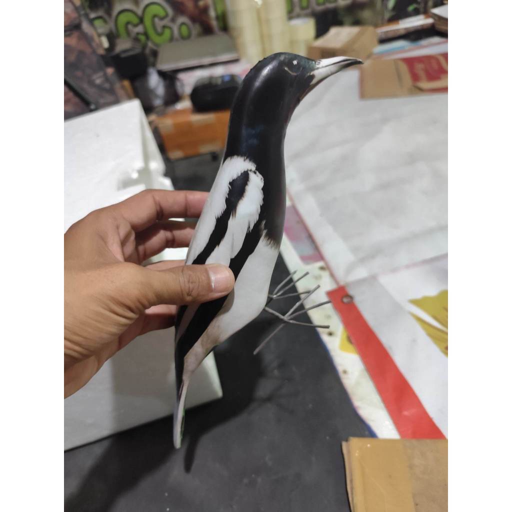 patung burung jagal papua/ jontrot manuk langka mirip asli