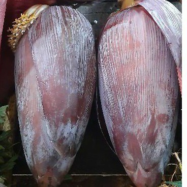 Jantung Pisang Kepok