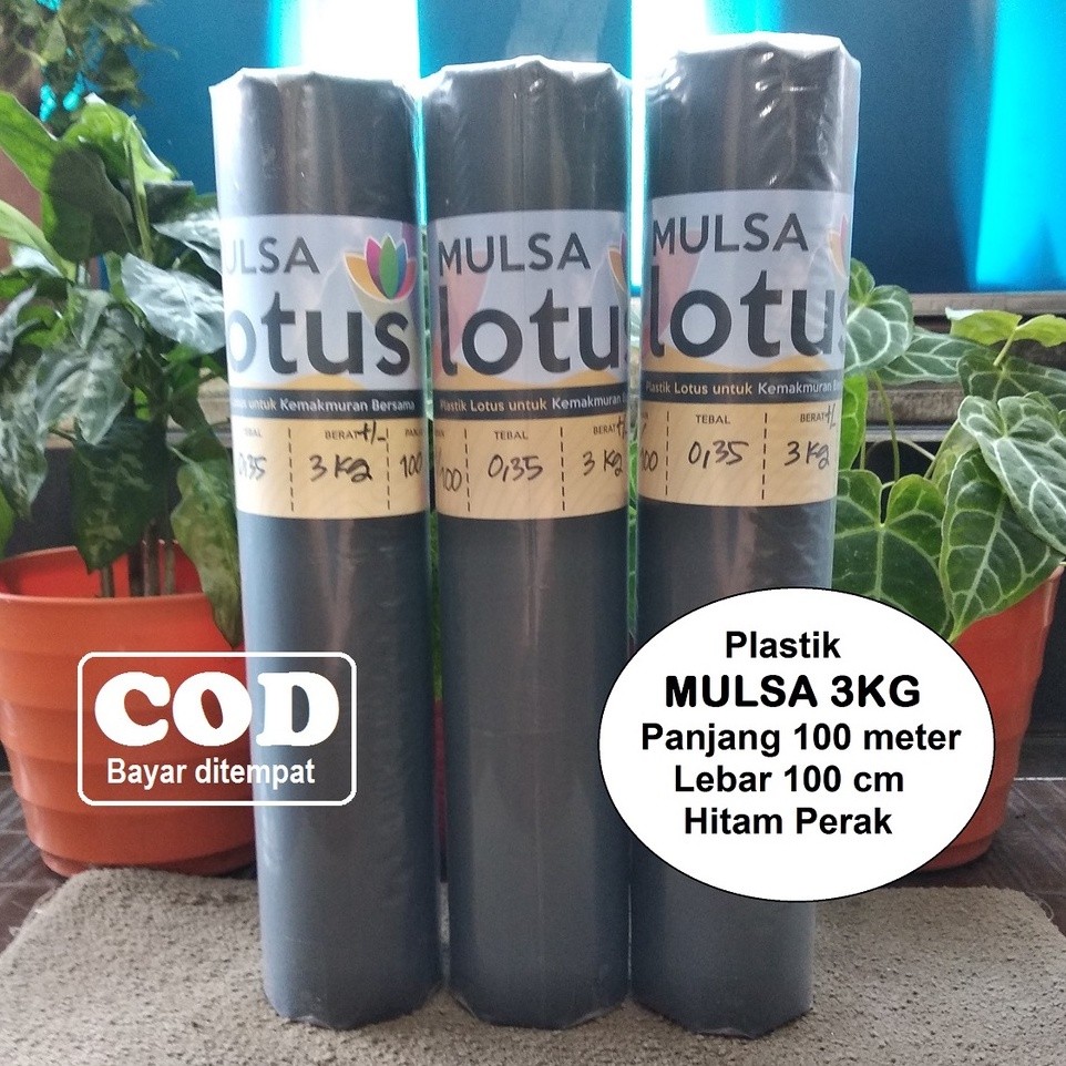 mulsa plastik mulsa pertanian plastik hitam perak 1 roll lebar 100 cm panjang 100 meter tanaman cabe
