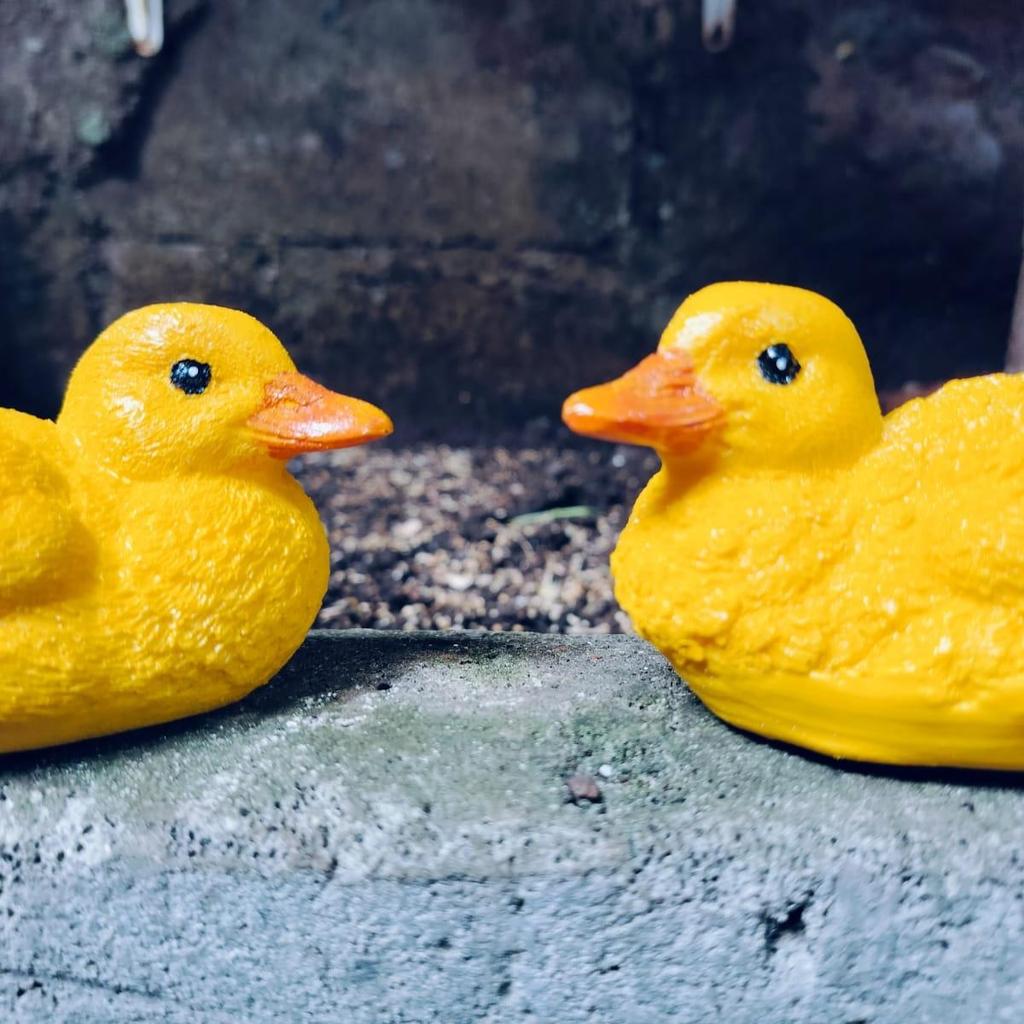 Sepasang Patung Anak Bebek Entog Soang dari Bahan Resin Berkualitas Tinggi