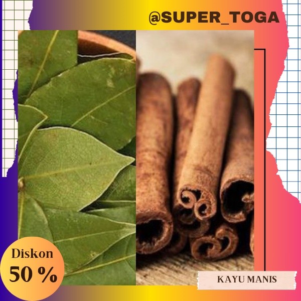 BIBIT TANAMAN POHON KAYU MANIS KUALITAS UNGGUL SUPER MURAH BIBIT KAYU MANIS