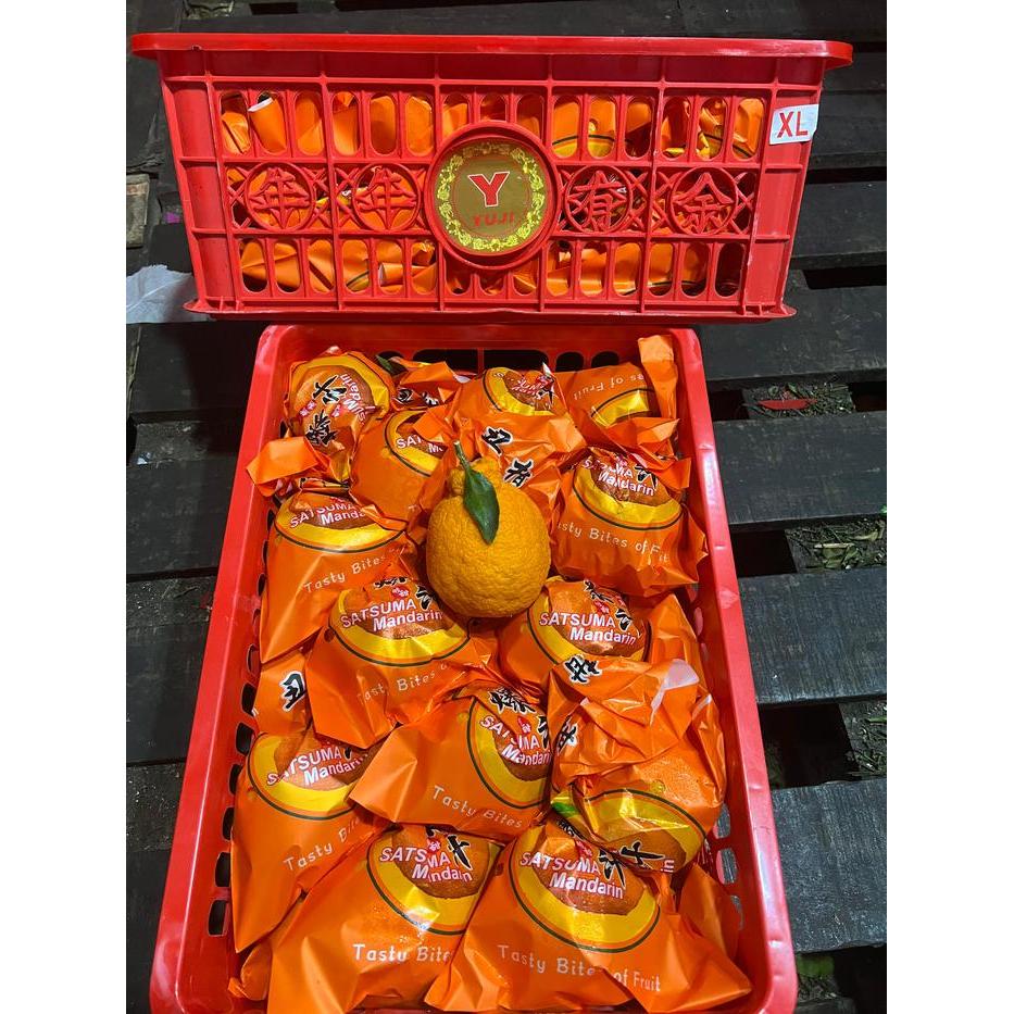 Promo Jeruk Papagan Dekopon [PREMIUM MANIS] [IMLEK] [SINCYA] [SEEDLESS] - Special Imlek 4kg Terlaris