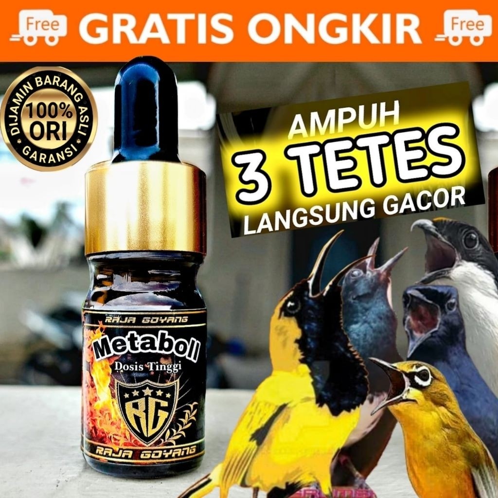 METABOLIS RG RAJA GOYANG METABOLISME VITAMIN PENGGACOR BURUNG KICAU MURAI KACER KENARI PLECI SOGON