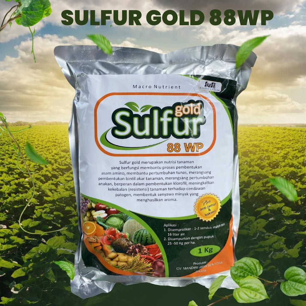 ( BTN ) Sulfur gold 88wp 1kg fungisida bahan aktif belerang sulfur pertanian