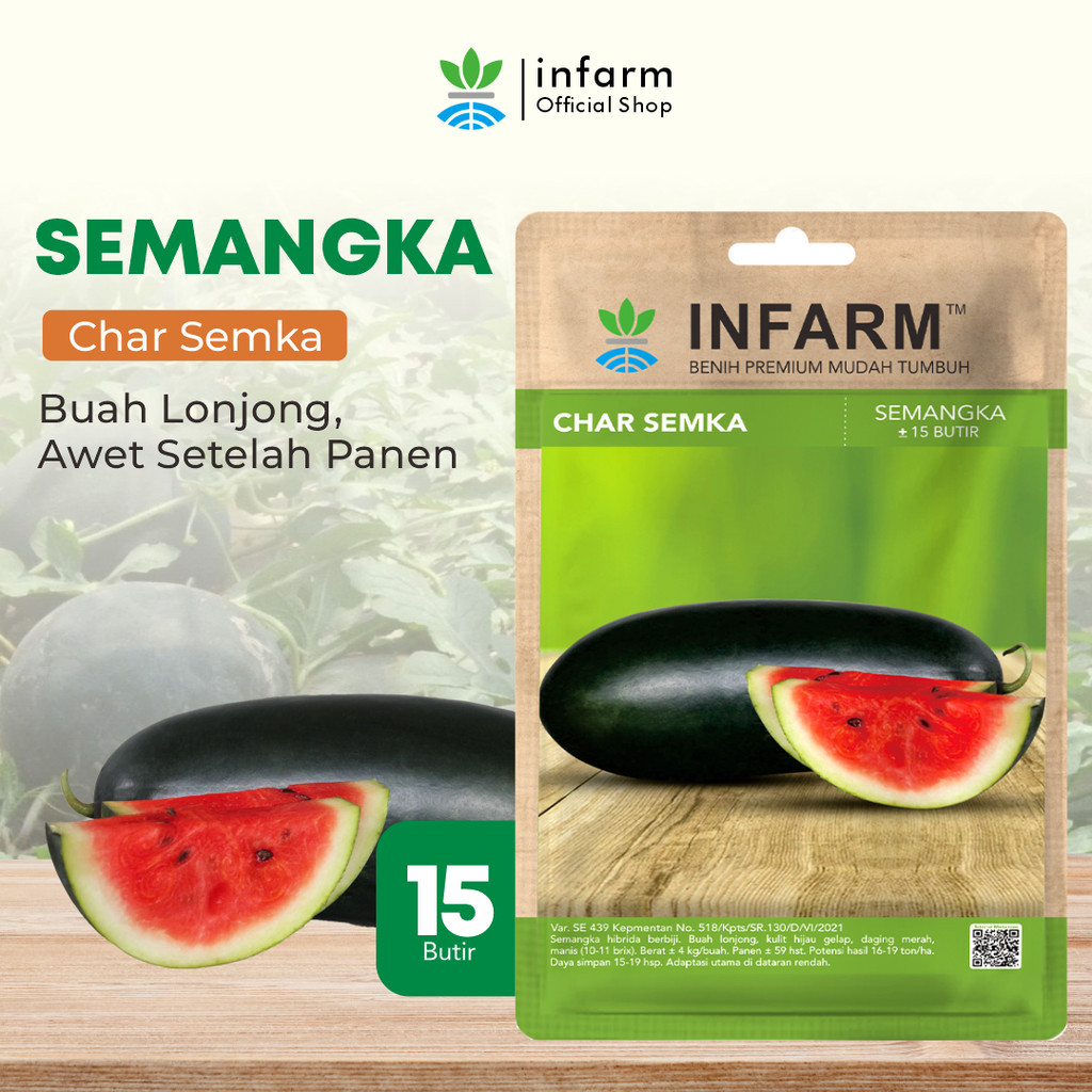 INFARM - Benih Buah Semangka Charsemka, Bibit Buah Semangka Lonjong Unggul Bibit Semangka Premium