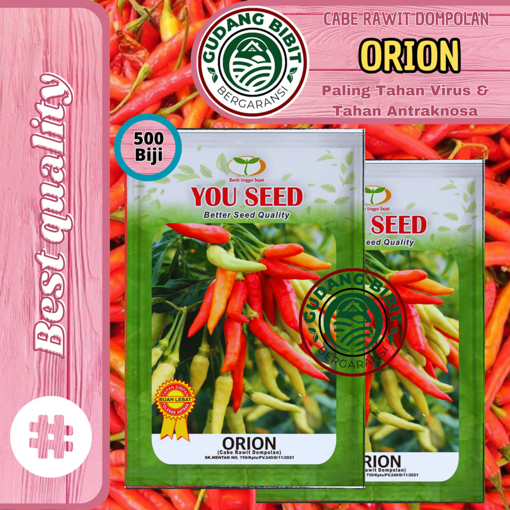 Benih Bibit Cabe Rawit Setan Tahan Virus ORION 500 Biji Cabe Dompolan Cap You Seed