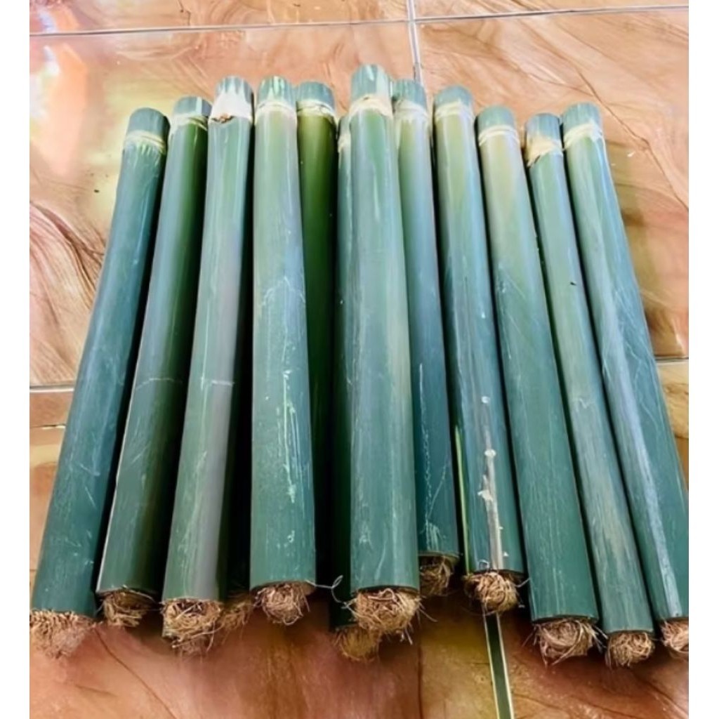 Obor Bambu Tamiang/Obor Bambu Tamiang. 50_67 Cm