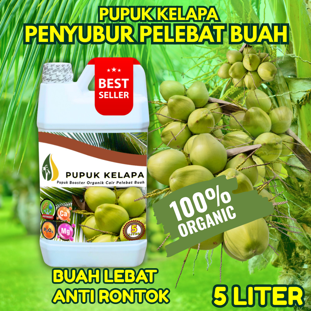 Pupuk Kelapa Agar Cepat Besar Berbuah Lebat Anti rontok  | Pupuk Booster Kelapa Hibriba Hijau Pendek