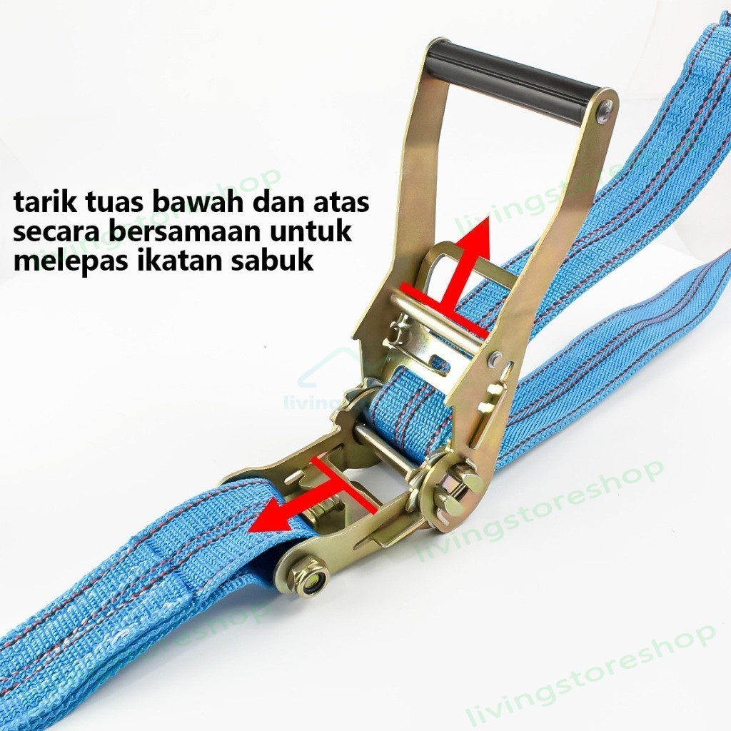 rachet tie down/4-8 meter Trek belt /10 ton tali sound/tali barang/Track webbing cargo lashing 5.5CM