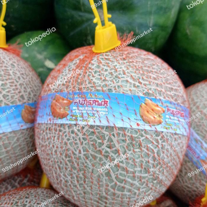 Melon Fujisawa japan / pics