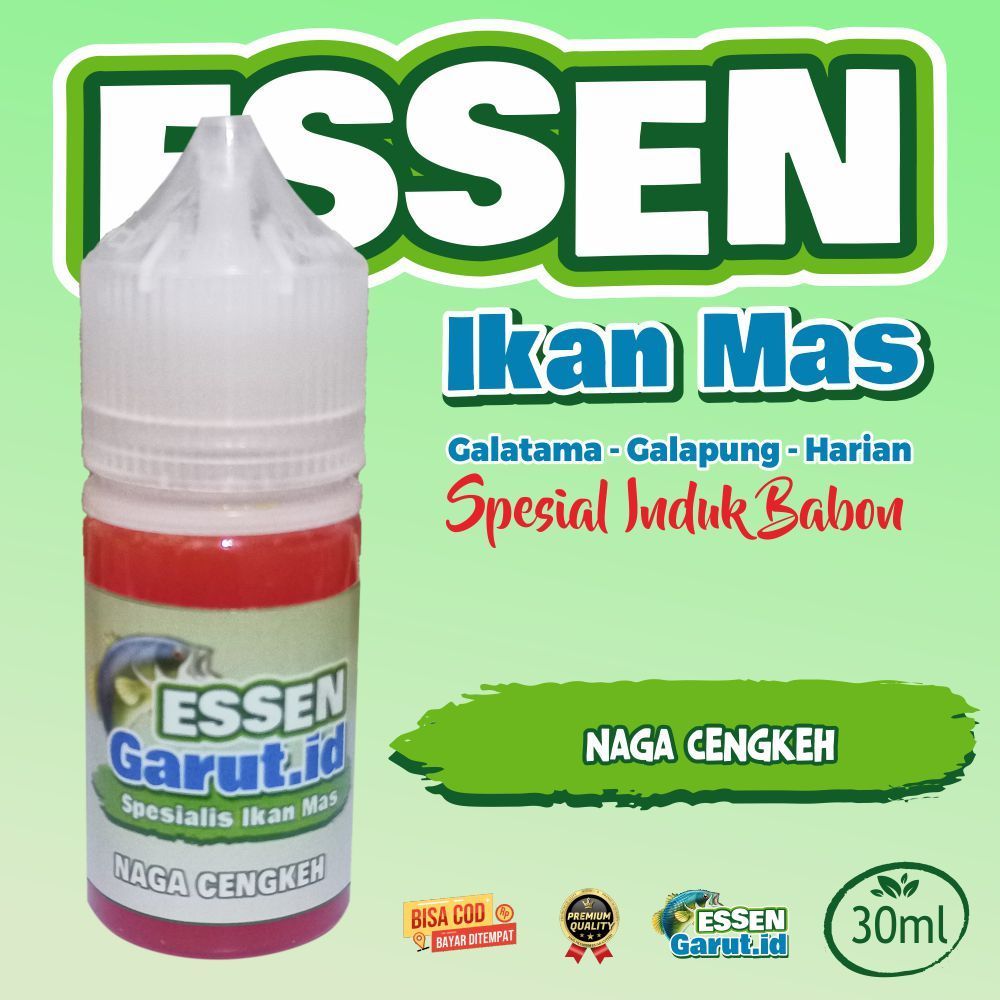 essen ikan mas NAGA CENGKEH / Essen Garut.id / Ikan Mas Galatama