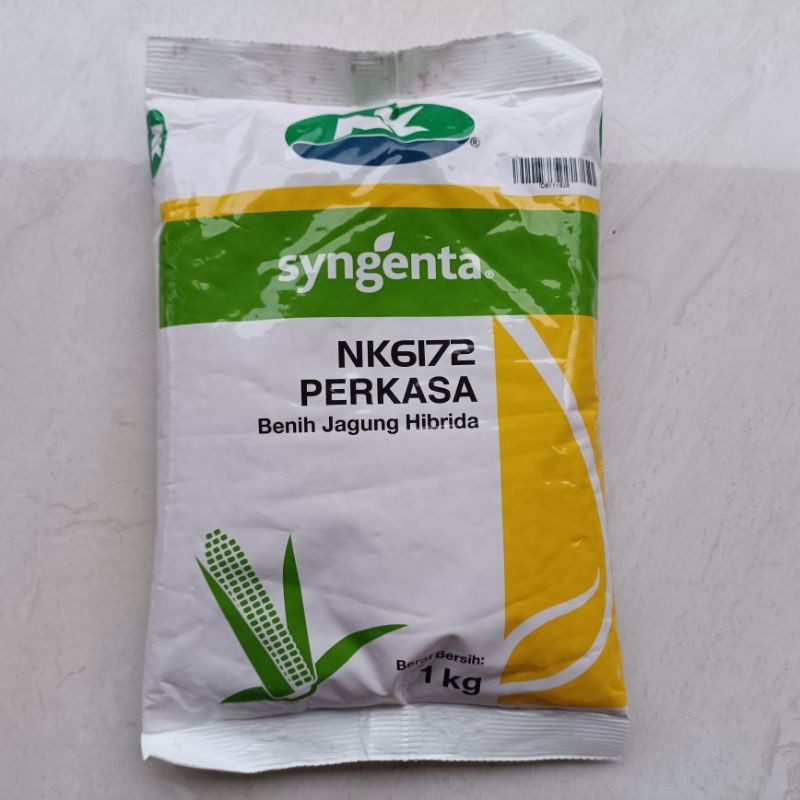 Benih Jagung NK 6172 | NK PERKASA - 1 kg (100% Original)