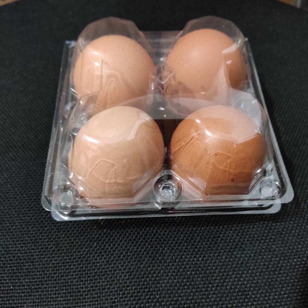 HCS  [50 PCS] Mika Tray Telur Bebek isi 4 Butir Sudah ada / dengan  Pengunci / Mika Telur 4 Butir ka